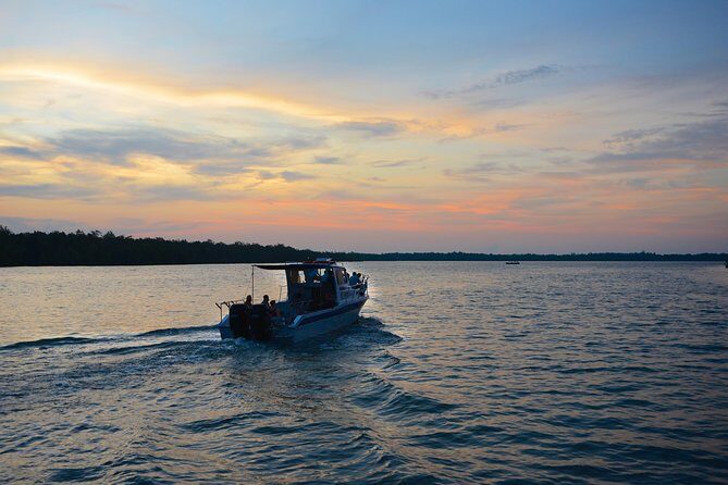 Shared Mangrove & Irrawaddy Dolphin Watching Cruise - Quick Take: What Makes This Cruise Worth $71
