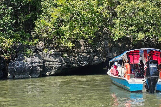 Sharing Half Day Mangrove Boat Tour With Lunch in Langkawi - Key highlights worth planning for