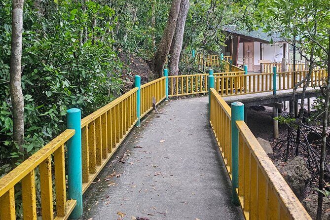 Sharing Half Day Mangrove Boat Tour With Lunch in Langkawi - Icon Kilim and Kilim Geoforest Park: geology meets wildlife