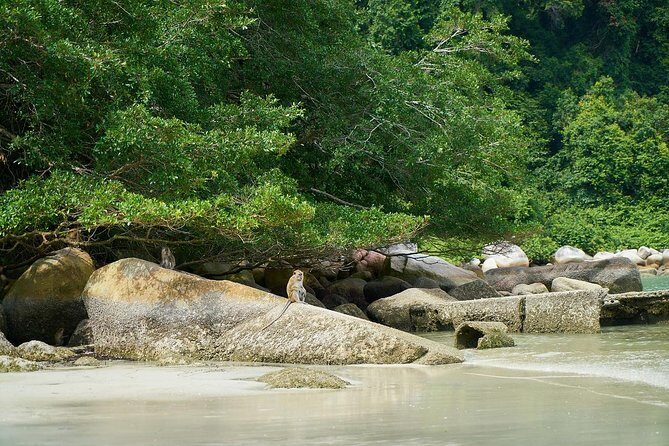 Silver Leaf Monkeys and Firefly Tour with Boat Ride and Seafood Dinner - Set seafood dinner: the meal that keeps the evening from feeling rushed