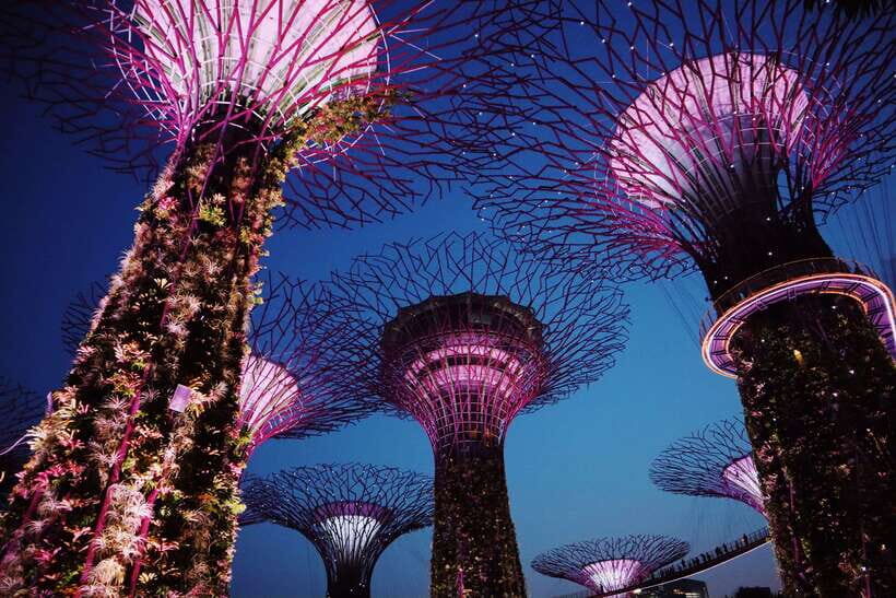 Singapore: Private Tour with a Local Guide - Key points to know before you go