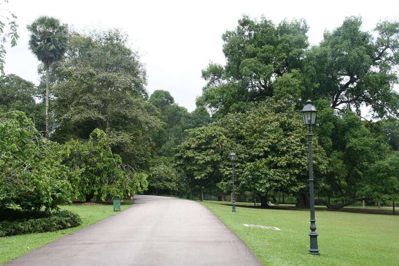 Singapore: Private Tour with a Local Guide - Singapore Botanic Gardens: Green, Calm, and Worth the Detour