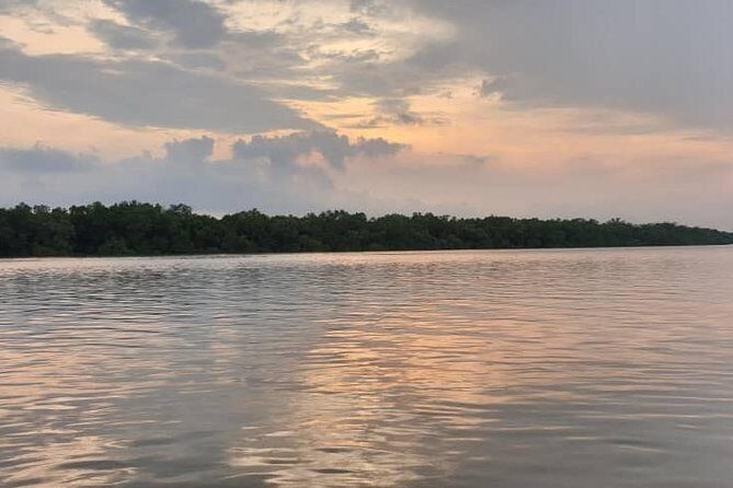 Sky Mirror Experience at Kuala Selangor from Kuala Lumpur - Hotel pickups in Kuala Lumpur: Fast logistics, but confirm your exact meeting spot
