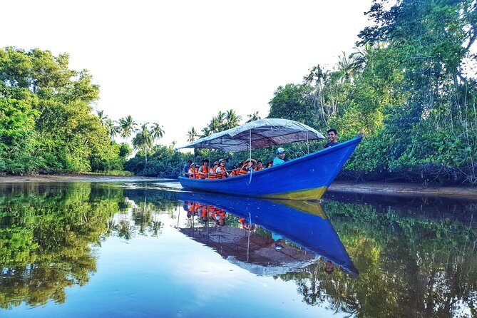 Sky-Mirror Photographing and Proboscis Monkey & Fireflies Watching River-Cruise - Kota Kinabalu Evening Wildlife: what you’re really signing up for