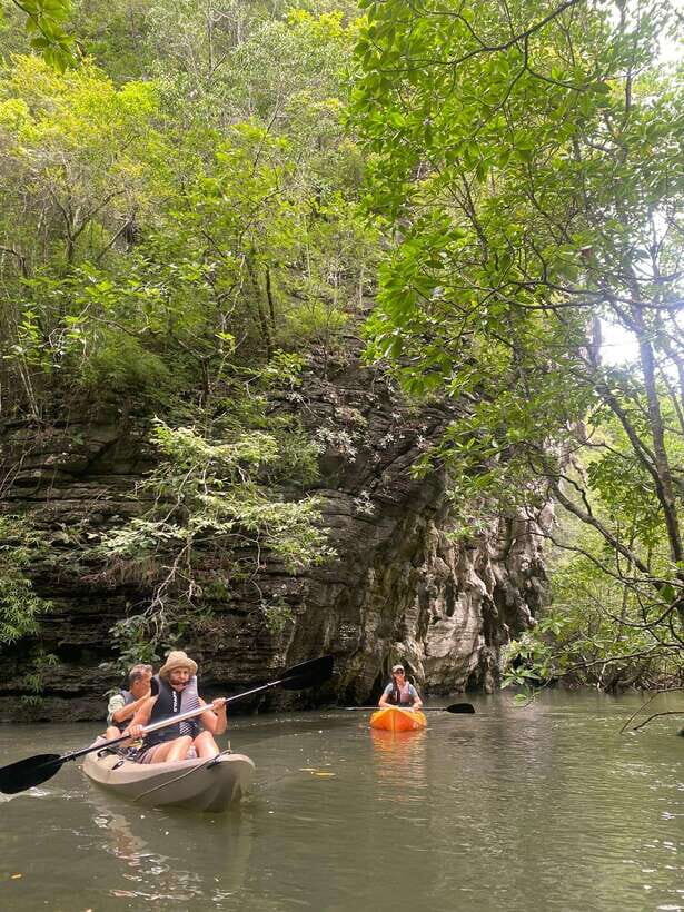 Small Group, Big Heart: Kilim Karst Mangrove Kayak Adventure - Kayaking 101 in the mangroves: calm water, close wildlife, smart behavior