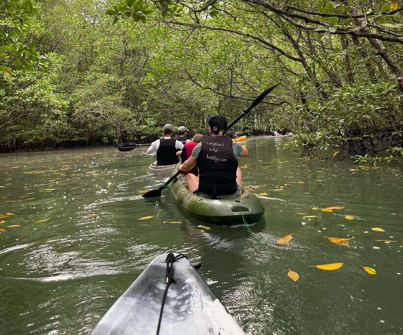 Small Group, Big Heart: Kilim Karst Mangrove Kayak Adventure - How small-group limits and eco rules protect the wildlife you came for