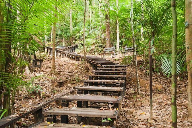 Taman Negara Day Tour with Canopy Walk - Entering Taman Negara: why this rainforest day feels different