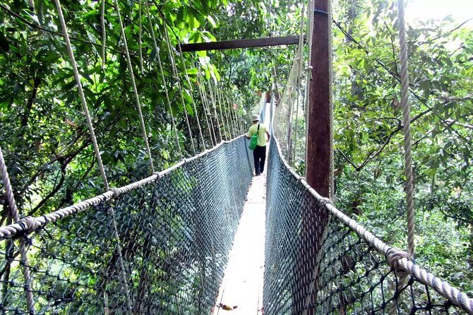 Taman Negara Day Tour with Canopy Walk - Teresek Hill trekking: how to make the hike pleasant