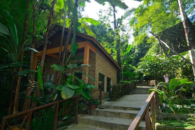 Taman Negara Day Trip from Kuala Lumpur with Lunch - Key highlights at a glance