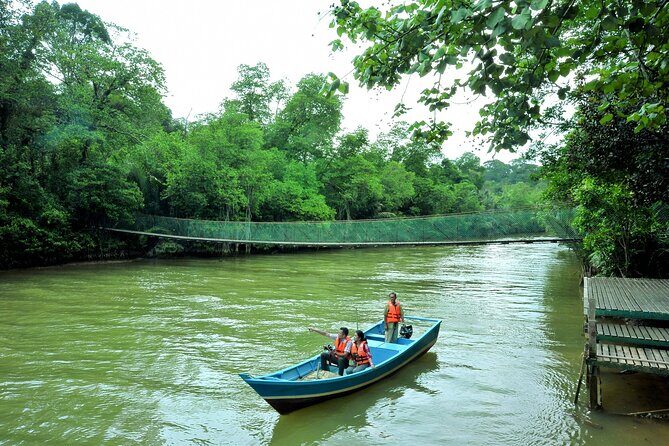 Taman Negara Day Trip from Kuala Lumpur with Lunch - The drive from Kuala Lumpur: comfort, pacing, and who’s behind the wheel