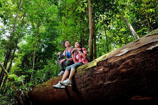 Taman Negara Day Trip from Kuala Lumpur with Lunch - How to get the most from the jungle stops