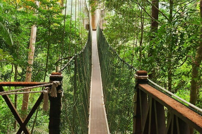 Taman Negara National Park Day Excursion from Kuala Lumpur PVT - Morning pickup from Kuala Lumpur: timing you can plan around