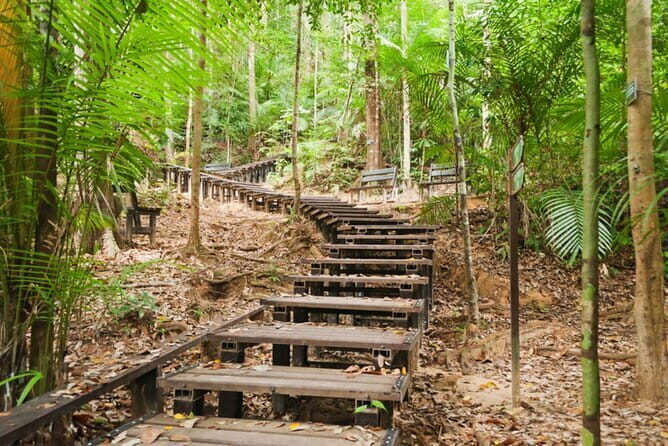 Taman Negara National Park Day Excursion from Kuala Lumpur PVT - Price and value for a Kuala Lumpur to Taman Negara day trip