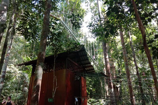Taman Negara National Park Day Tour (SIC - Join In Tour) - Canopy walks and suspension bridges: what happens when parts close