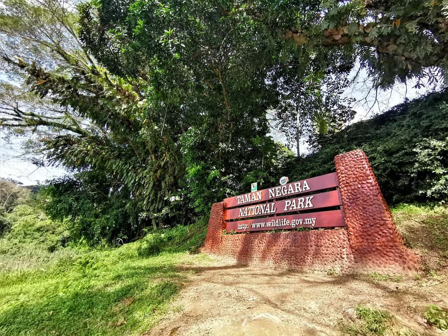 Taman Negara Rainforest Tour with Lata Berkoh Falls - Treetop views and the canopy walk: worth it, but treat it as conditional