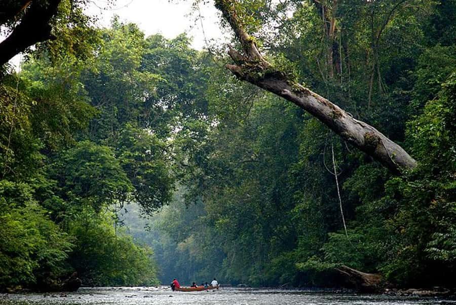 Taman Negara Rainforest Tour with Lata Berkoh Falls - Lunch and pacing: how to make a full-day plan feel doable