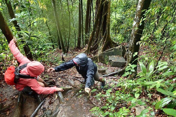 Templer Park and Kanching Waterfall Tour with Batu Caves Stopover - Kanching Rain Forest Waterfall: Selfies, Pool Time, and What to Bring