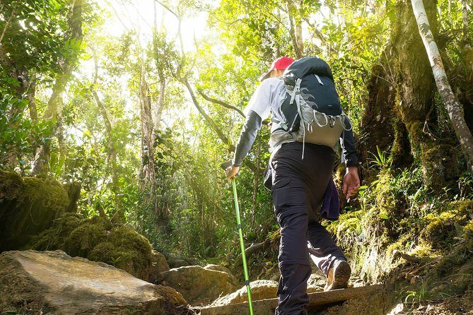 Templer Park and Kanching Waterfall Tour with Batu Caves Stopover - Should You Book This Templer Park and Kanching Waterfall Tour?