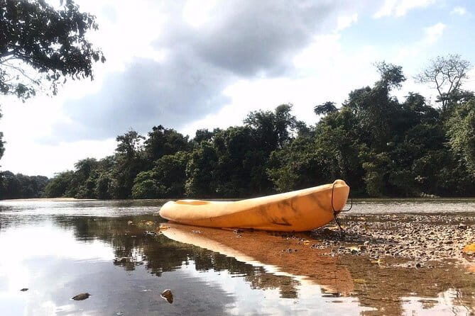 Terengganu Wildlife Kayak Tour - Why gliding the Sungai Berang river feels more animal-friendly