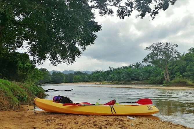 Terengganu Wildlife Kayak Tour - Price and what $60 buys you in real value