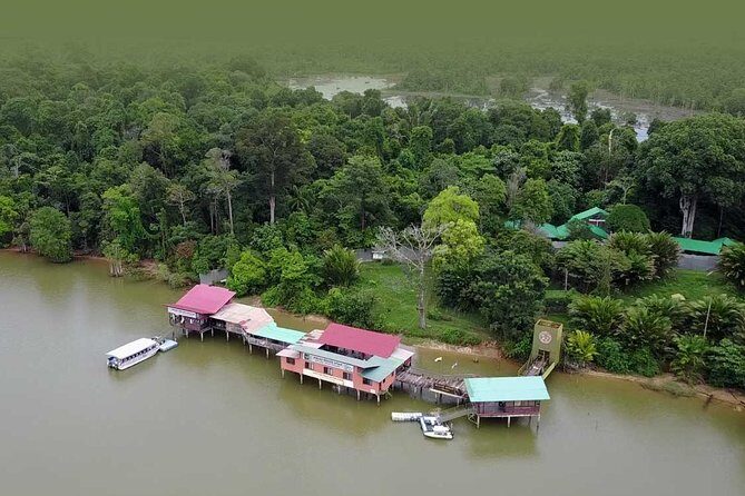 Wildlife & Wonders: Orang Utan Island + Perak Cave Temple Tour - The guide factor: when narration lifts the day